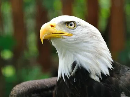 Start Your Day With Confidence