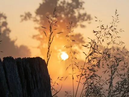 Start Your Day With Energy, Optimism And Awareness