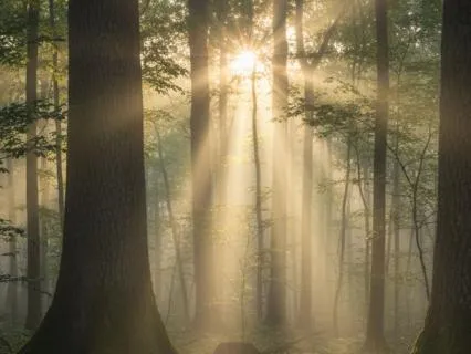 Start Your Day With Gratitude