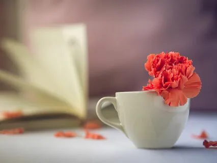 Start Your Day With Intention (Daily Morning Practice)