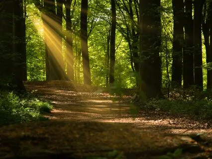 Start Your Day With Intention