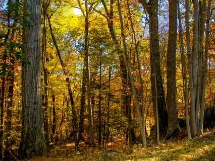 Start Your Day With Intention