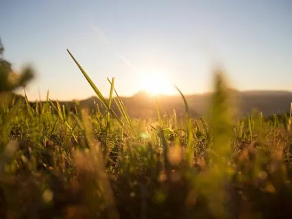 Start Your Day With Positivity And Love [Remastered]