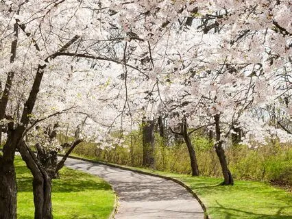 Start Your Day with Prosperity: Attract Wealth Now