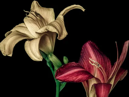 Morning Meditation To Start Your Day