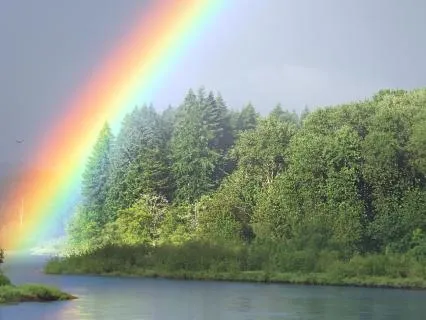 Start Your Morning With Affirmation/Gratitude | Compassion