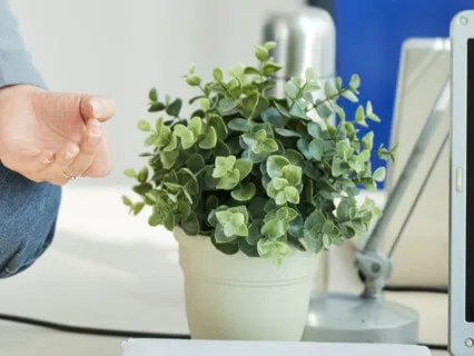 Start Your Work Day Meditation (Revised Audio)