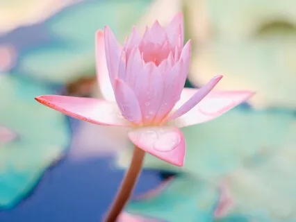 Starter Meditation Instructions