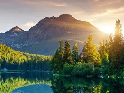 Starting A New Life Season? Daily Morning Grounding