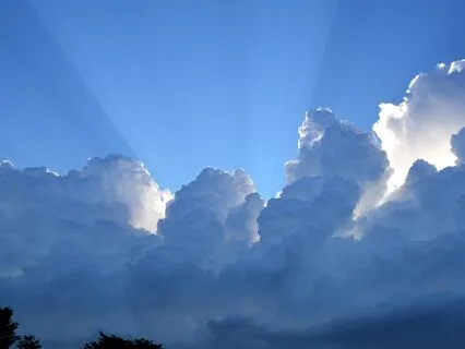 Starting Anew: Fully Aligned With My Higher Purpose