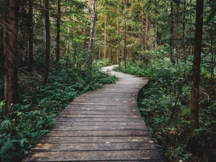 Beginner's Mind | Breath & Body | Starting Over