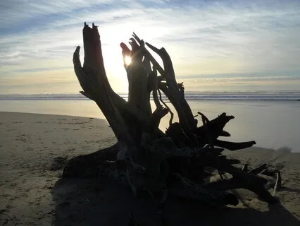 Starting Something New - Responding With Prayer