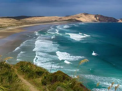 Starting Something New