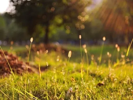 Start With A Beautiful Morning - I AM Affirmations