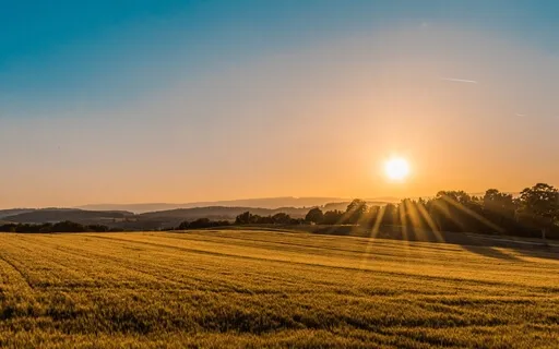 Starting With New Intentions: A Winter Gratitude Meditation