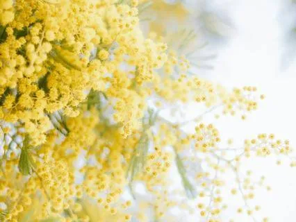 Starting Your Day In Joy And Source Energy