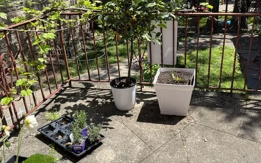 Starting Your Day Off Greatful!