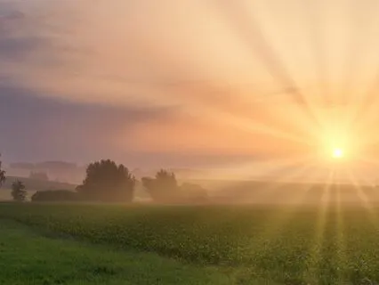 Starting Your Day Right