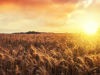 Starting Your Day With A Smile: A Guided Morning Meditation