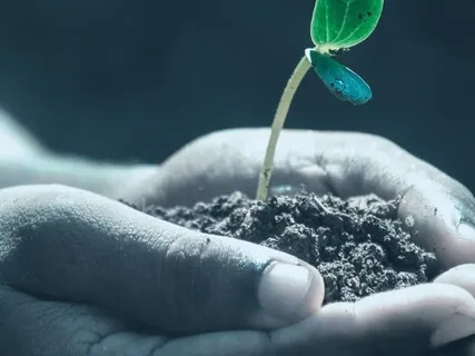 Starting Your Journey