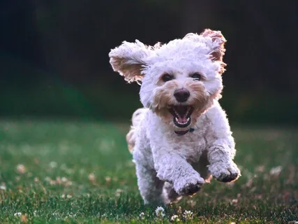 Starting Your Personal Meditation Practice