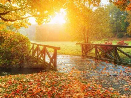 Statue Meditation -- A Meditation Of Self-Discovery