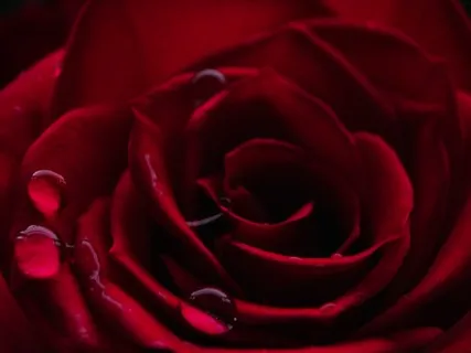 Stay At Home Relaxing Sounds Part I - Piano & Raindrops