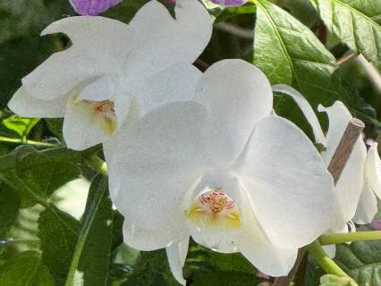 Stay Aware Of The Elevation Of Love