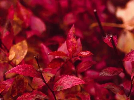 Stay Focused: Unlock Your Productivity Potential 417 Hz