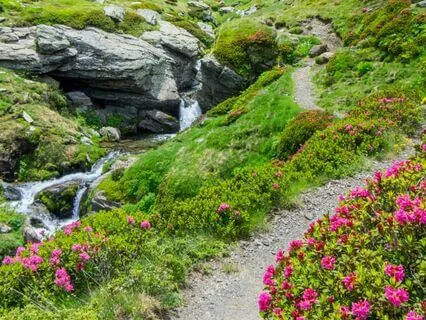 Stay Inspired While Getting Into Stillness