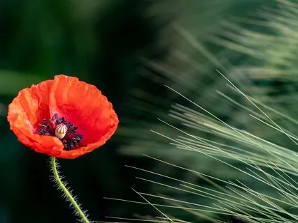 Stay - Piano Journey To Reveal Your Emotions