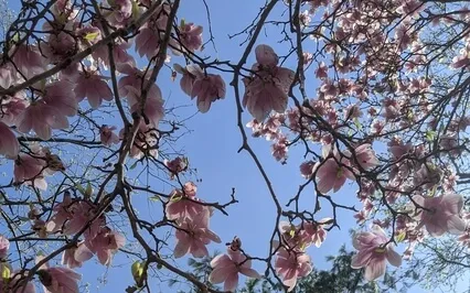 Stay Right Here With Me