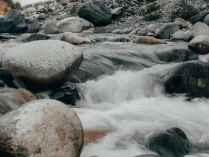 Stay With This Moment: A Gentle Return To Presence