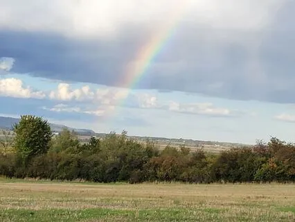 Stay With Your Breath