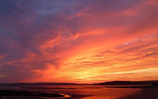 Stay With Your Emotions - Meditation 31