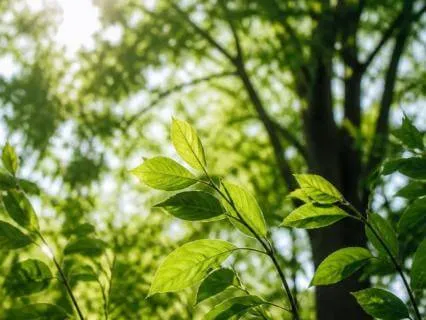 Staying Calm Around Difficult People | Short Pause To Reset