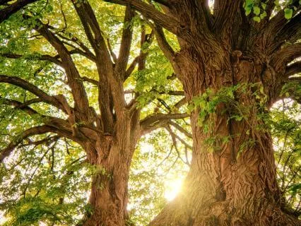 Staying Grounded Under Pressure