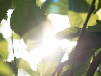 Staying In The Present Moment