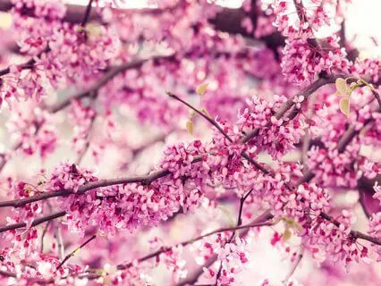 Staying Motivated Every Day