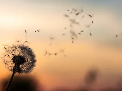 Staying Motivated In Times Of Crisis