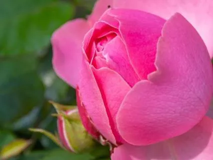 Open Your Guarded Heart