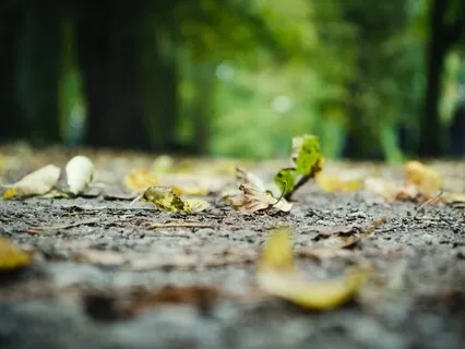 Staying Present And Grounded