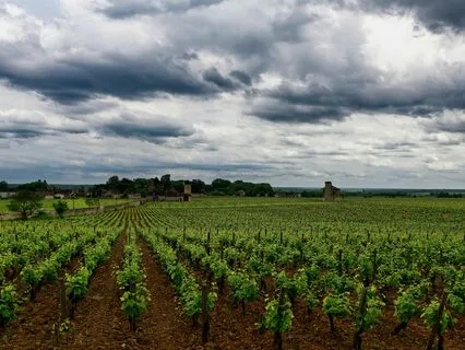 Staying True To Yourself