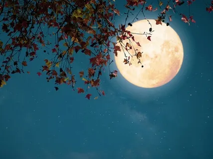 Staying Up Late (Piano Music With Light Rain Sounds)