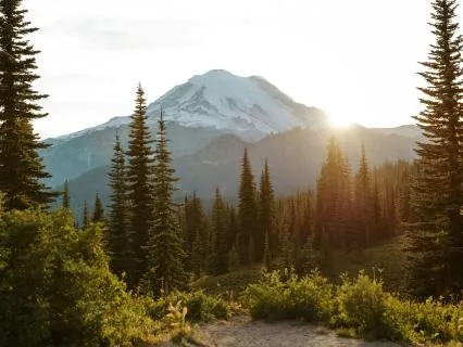 Staying With What Arises