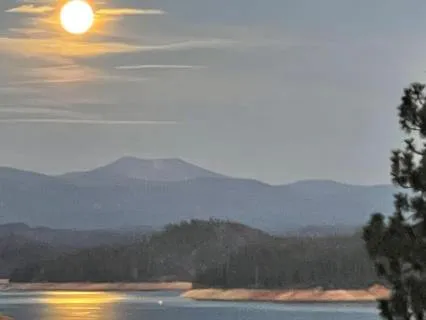 Steadiness (Michael's Wing)