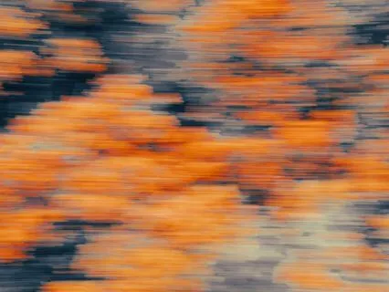 Steady And Alive: Calm Energy And Inner Strength