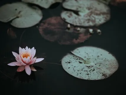 Steady The Mind Using The Senses