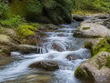 Steady Flow: Beta Binaural Beats For Focus And Productivity