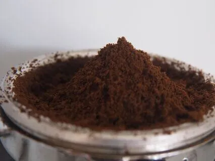 Steady Ground In Busy Times